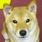 camdenhouseさん