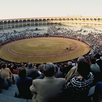 私はボゥ観者さん