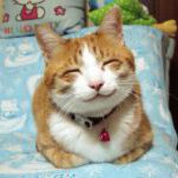 ちょこ社長さん