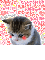 ひにゃさん
