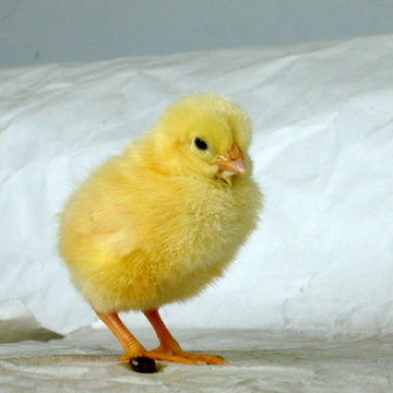 financial_beginner27さん