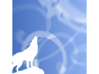 h-wolfさん