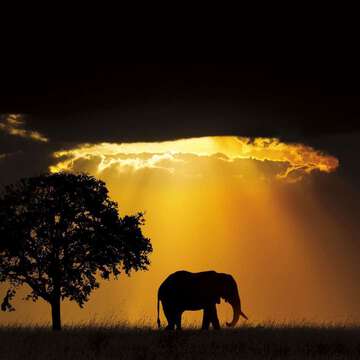 ケン坊 ９９８１００１さん