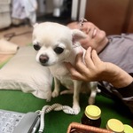 mikibさん