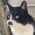 ycat3さん