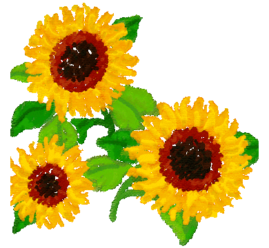 suehirogari888さん