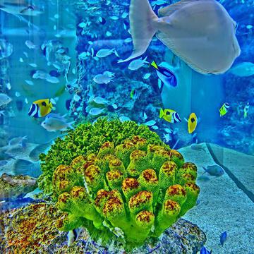 へいちゃん2011さん