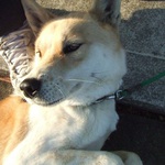 ranhotaさん