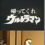gao---さん