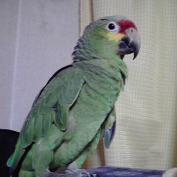 濡れ手で粟さん