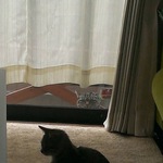 lhaさん