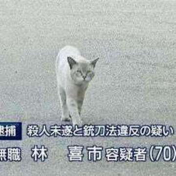 ストップザシーズンインザさん