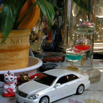 ホワイトパールさん