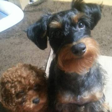 おこじょ２さん