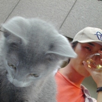 月の猫さん