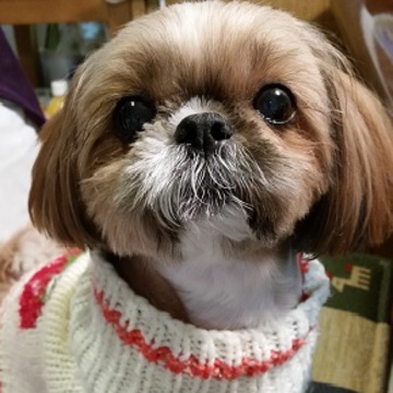 とりびー君さん