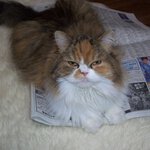 金男さん
