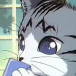 きゃぁ～さん