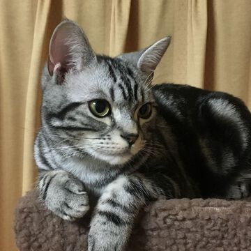 ハイボール濾過マシーンさん