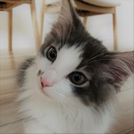 ちゃーりーーーさん