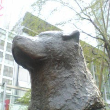 渋谷のハチ公さん