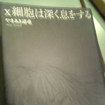 ドミノラインさん