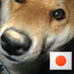 eejyaroさん