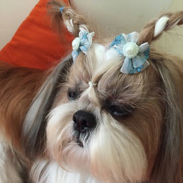 りょうくん10.27さん