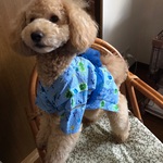小太朗さん