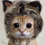Nekomirinさん