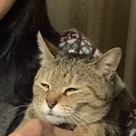いいみわさん