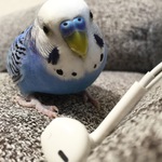 murakeiさん