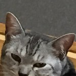 やえこさん