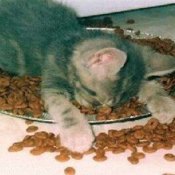 あまのじゃくさん