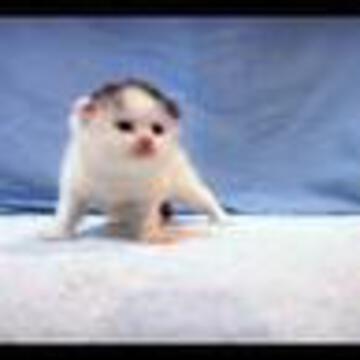 takahirono2005さん