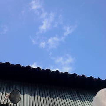 チョッパーさん