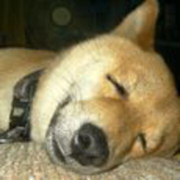 あんじぇらさん