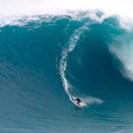 surferさん