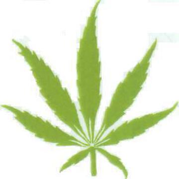 変形ハマチさん