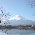かさぴさん