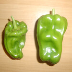 green pepperさん