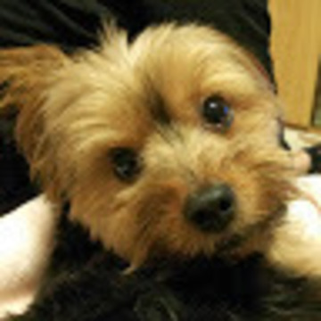 たけぞぉーちゃんさん