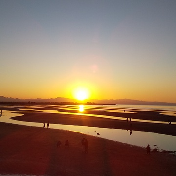 カズーイ8787さん