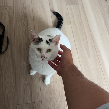 Takayoshi Haradaさん