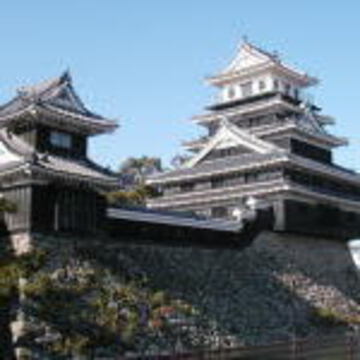 ぱんだのしっぽさん