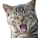 猫に株さん