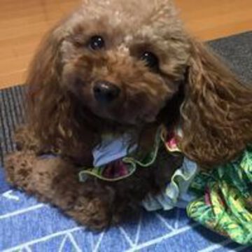 山中康裕さん