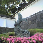 さちぃさん