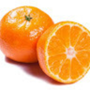 キツツキだんごさん