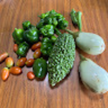 サンドラ23さん